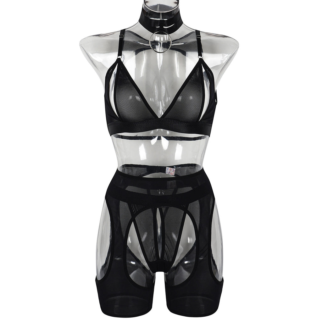 Chic Sheer Mesh Lingerie Ensemble | Free ship to Canada