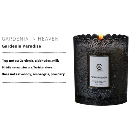 AromaSoy Candle  Free ship to Canada
