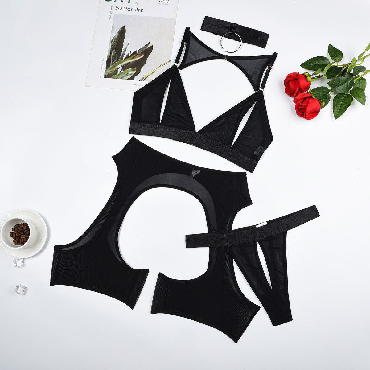 Chic Sheer Mesh Lingerie Ensemble | Free ship to Canada